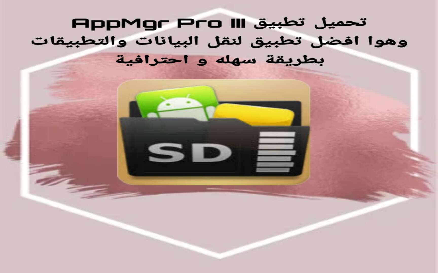 طريقة نقل التطبيقات الى الميموري كارد AppMgr Pro III 1