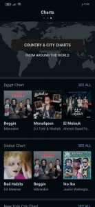 تطبيق البحث علي الأغاني من خلال كلماتها 3