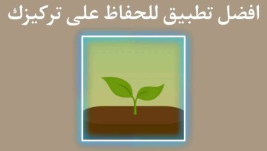برنامج للحفاظ علي التركيز والتخلص من ادمان الهاتف