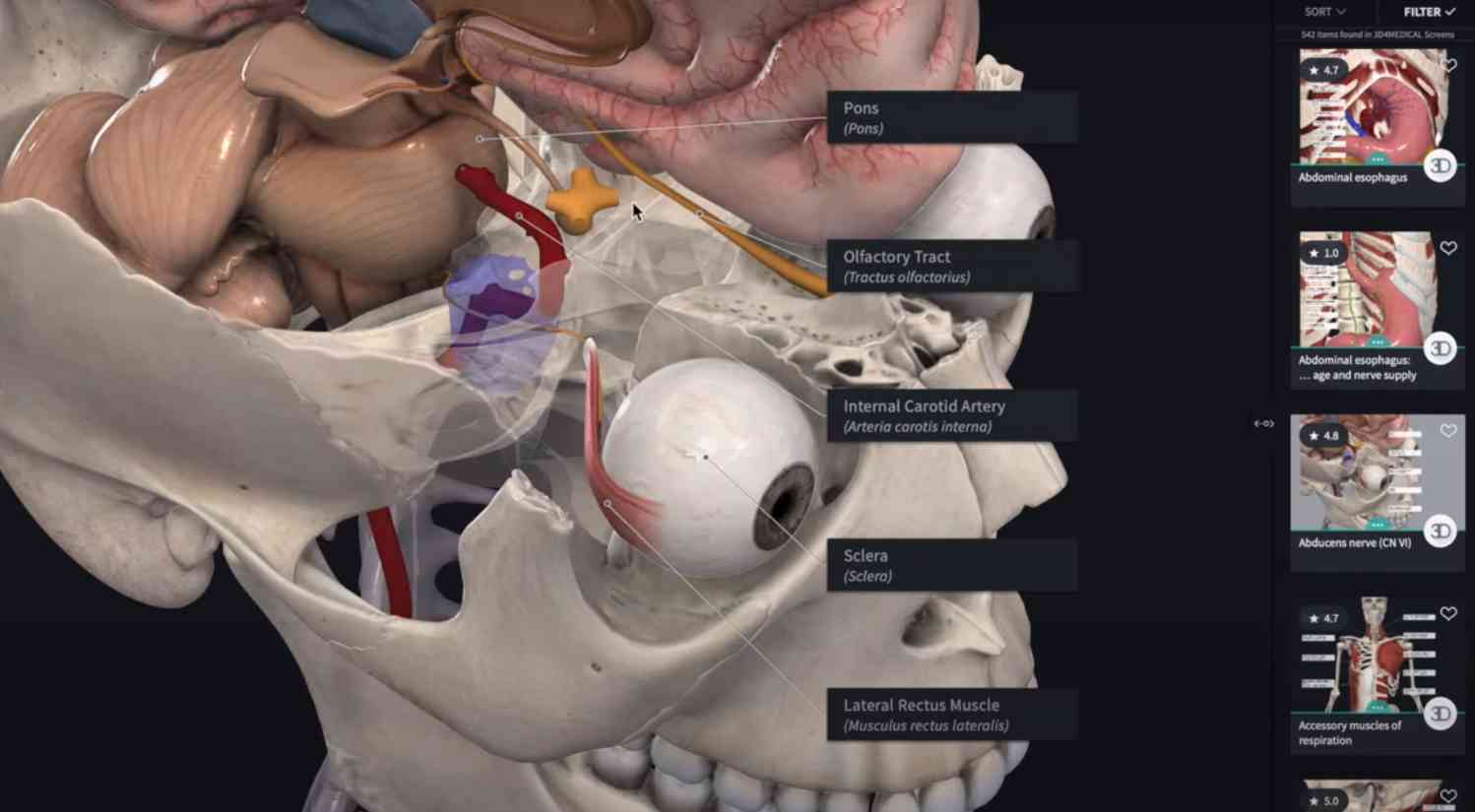 تحميل برنامج Anatomy 3D Atlas مهكر للكمبيوتر مجانا 4