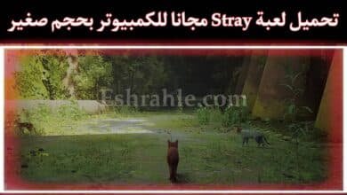 تحميل لعبة Stray للكمبيوتر مجانا برابط مباشر من ميديا فاير