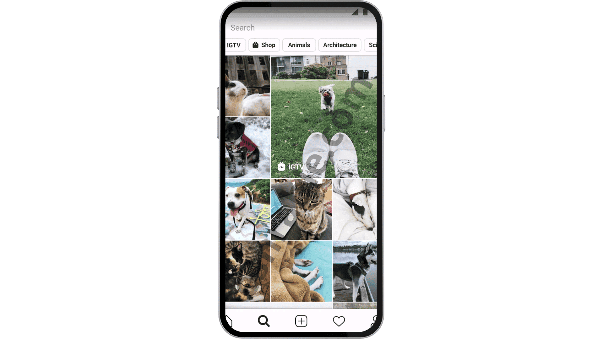 تنزيل انستقرام لايت اصدار قديم Instagram Lite apk 4 تنزيل انستقرام لايت اصدار قديم Instagram Lite apk