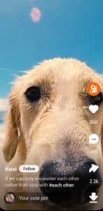 تنزيل برنامج كواي 18 للكبار فقط الاصلي للاندرويد Kwai APK 5 تنزيل برنامج كواي 18 للكبار فقط الاصلي للاندرويد Kwai APK 4