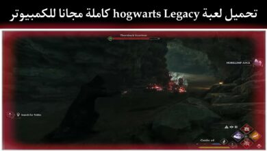 تحميل لعبة hogwarts legacy للكمبيوتر مجانا برابط مباشر تراث هوجورتس