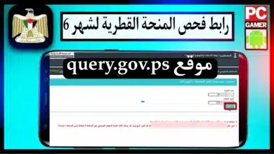 موقع query.gov.ps رابط فحص المنحة القطرية 100دولار لقطاع غزة شهر يونيو 2023 1