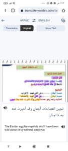 موقع ترجمة الصور اون لاين الى نصوص بالعربية 2023 مجانا 6
