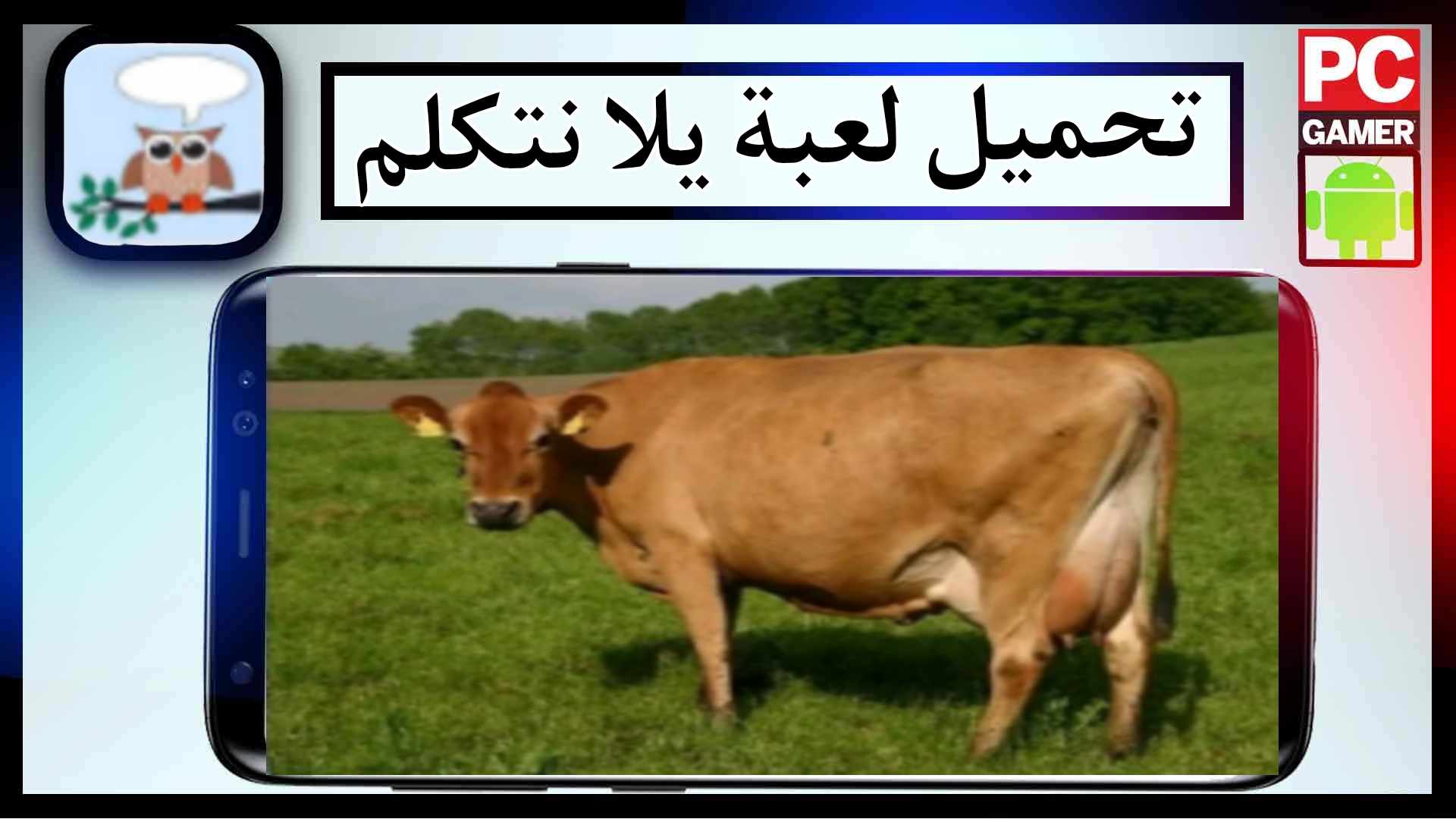 تحميل لعبة يلا نتكلم pdf اخر اصدار للاندرويد برابط مباشر مجانا 2