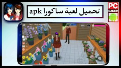 تحميل لعبة ساكورا النسخة الصينية مهكرة اخر اصدار 2025 من ميديا فاير 4