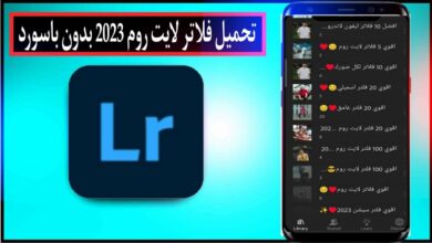 تحميل فلاتر لايت روم lightroom preset 2024 الاحترافية مجاني وبدون باسورد 9