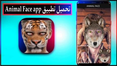 تحميل تطبيق animal face app للاندرويد وللايفون 2024 من ميديا فاير 35