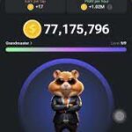 رابط تحميل لعبة هامستر كومبات hamster kombat للربح من الانترنت 2024 مجانا 3