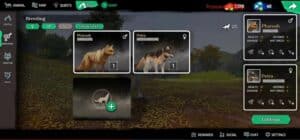 تحميل لعبة Wolf Tales مهكرة 2025 للاندرويد والايفون مجانا من ميديا فاير 4