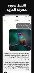 تحميل تطبيق Grok ai جروك للاندرويد APK مجاني 2026 4 تحميل تطبيق Grok ai جروك للاندرويد APK مجاني 2026 4