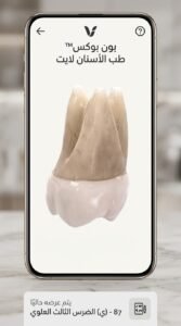 تحميل تطبيق BoneBox™ - Dental Lite مجانا للاندرويد APK 2027 4 تحميل تطبيق BoneBox™ - Dental Lite مجانا للاندرويد APK 2027 3